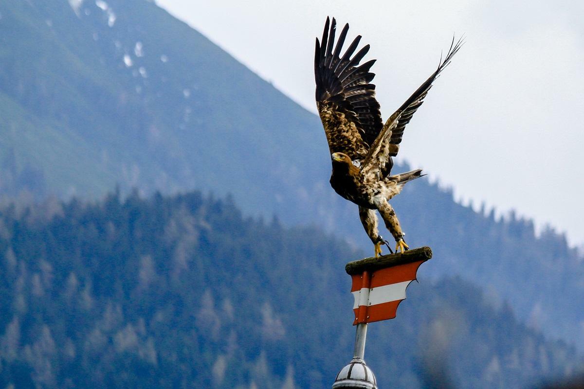 Arbeiten in Österreich Gute Aussichten für deutsche Arbeitssuchende Karriere.de