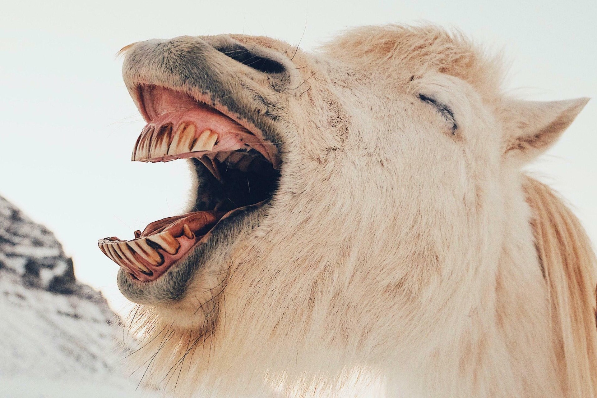 Humor Am Arbeitsplatz Warum Lachen Und Humor Der Karriere Gut Tun